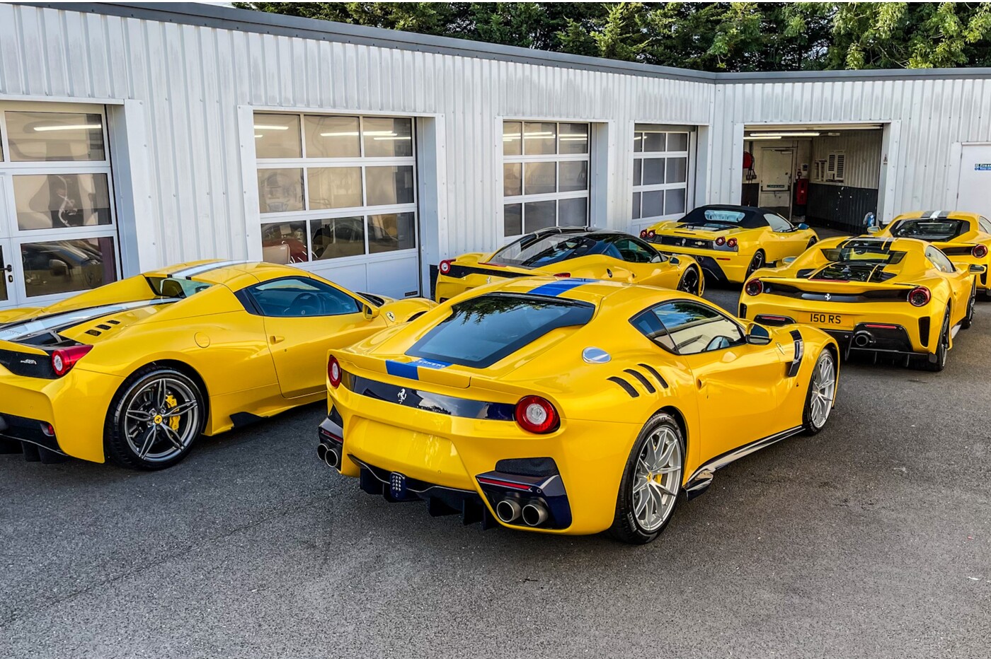 Yellow Ferraris 3